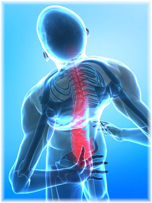skeleton image with back pain